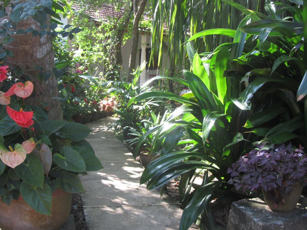 Peacock Land Hotell Tangalle Eksteriør bilde