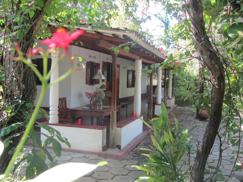 Peacock Land Hotell Tangalle Rom bilde