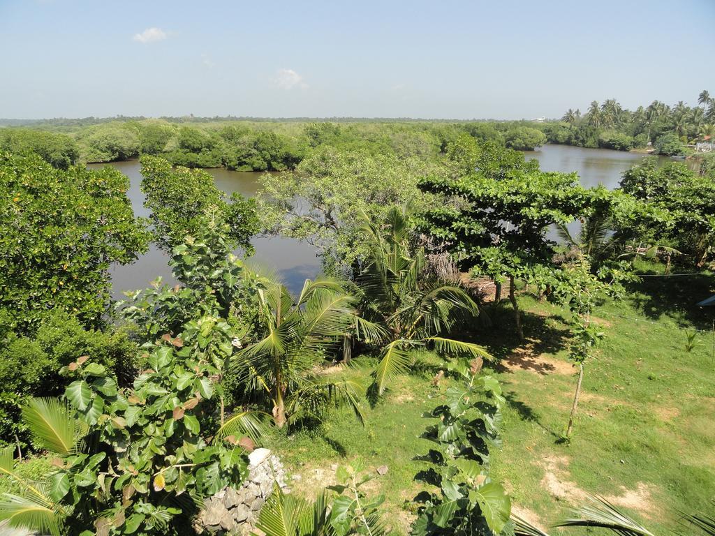 Peacock Land Hotell Tangalle Eksteriør bilde