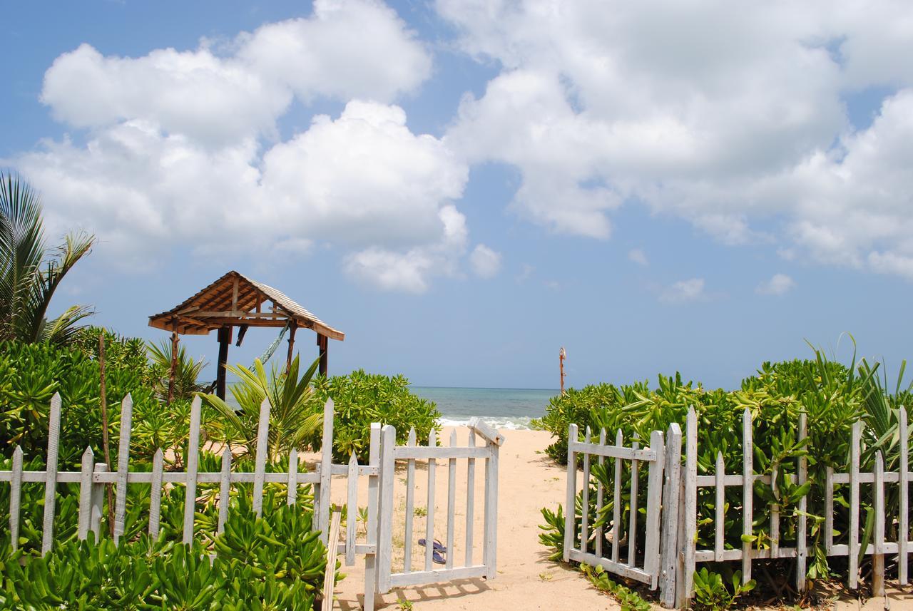 Peacock Land Hotell Tangalle Eksteriør bilde